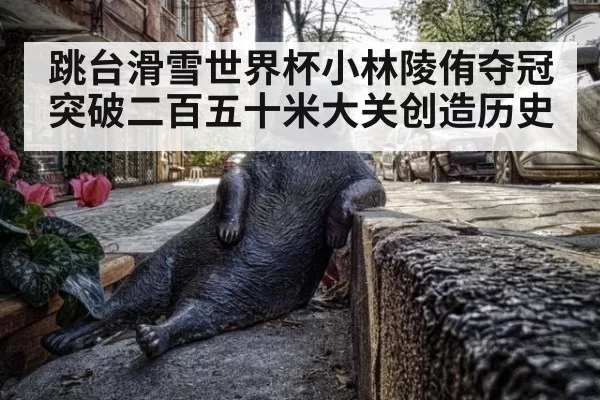 跳台滑雪世界杯小林陵侑夺冠突破二百五十米大关创造历史