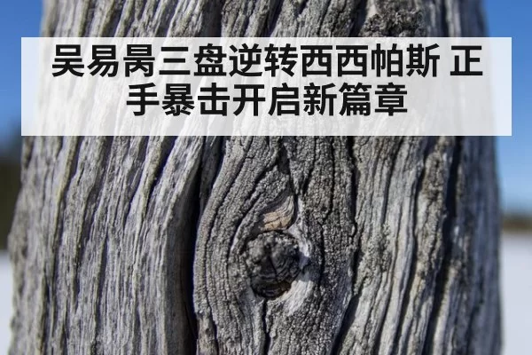 吴易昺三盘逆转西西帕斯 正手暴击开启新篇章